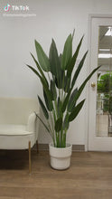 Load and play video in Gallery viewer, Artificial Bird Of Paradise -5.3' (160cm)