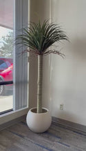Charger et lire la vidéo dans la visionneuse de la Galerie, Artificial Yucca Tree- 7ft