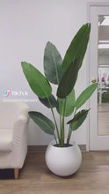 Load and play video in Gallery viewer, Artificial Bird of Paradise - 5'3" (160cm)