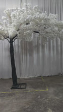 Load and play video in Gallery viewer, 10ft cherry blossom tree rental - White