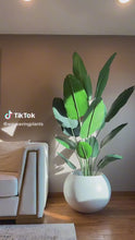Load and play video in Gallery viewer, Artificial Bird of Paradise - 7'(220cm)