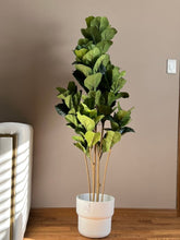 Charger l'image dans la galerie, where can I find fake plants at best rates?