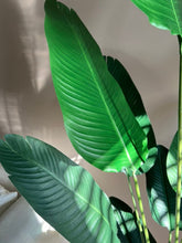 Load image into Gallery viewer, faux plants