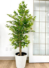 Charger l'image dans la galerie, A potted plant with lush green foliage placed indoors, next to a glass door, creating a refreshing and natural ambiance in the space.