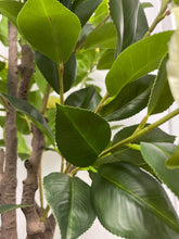 Charger l'image dans la galerie, Detailed view of vibrant green artificial leaves, highlighting the natural texture and realistic appearance perfect for enhancing any interior space.
