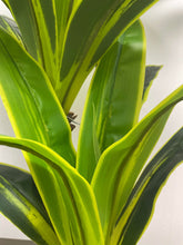 Charger l'image dans la galerie, Close-up view of vibrant green artificial Dracaena leaves with bold yellow accents. Perfect for indoor decor, these lifelike leaves add a tropical touch to home or office spaces.