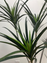 Charger l'image dans la galerie, Close-up of artificial Dracaena plant leaves with long, pointed green foliage, ideal for indoor decoration and adding a modern touch to home or office spaces.