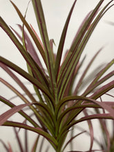 Charger l'image dans la galerie, Close-up of artificial Dracaena plant leaves with long, pointed green foliage, ideal for indoor decoration and adding a modern touch to home or office spaces.
