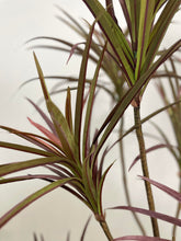 Charger l'image dans la galerie, Close-up of artificial Dracaena plant leaves with long, pointed green foliage, ideal for indoor decoration and adding a modern touch to home or office spaces.