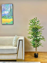 Charger l'image dans la galerie, An elegant indoor setting featuring a sleek white couch and a vibrant green potted plant, complemented by a colorful landscape painting on the wall.