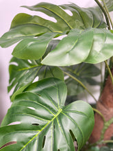Charger l'image dans la galerie, Close-up of artificial monstera leaves showcasing their large, glossy, dark green surface with realistic-looking veins and distinctive splits. The leaves are arranged against a neutral background, emphasizing their lush, tropical appearance."