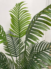 Charger l'image dans la galerie, Close-up of vibrant green palm leaves, showcasing the natural texture and detail of the foliage in a serene indoor setting.