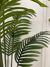Charger l'image dans la galerie, Close-up of vibrant green palm leaves, showcasing the natural texture and detail of the foliage in a serene indoor setting.