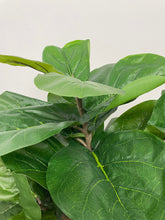 Load image into Gallery viewer, Close-up of the vibrant green leaves of the fiddle-leaf fig tree, showcasing its detailed texture and realistic appearance.