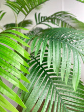 Charger l'image dans la galerie, Close-up of vibrant green palm leaves, showcasing the natural texture and detail of the foliage in a serene indoor setting.