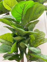 Load image into Gallery viewer, Close-up of the vibrant green leaves of the fiddle-leaf fig tree, showcasing its detailed texture and realistic appearance.