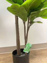 Load image into Gallery viewer, Close-up of the base and trunk of a fiddle-leaf fig tree in a black planter, highlighting the sturdy, detailed stems and vibrant green leaves.