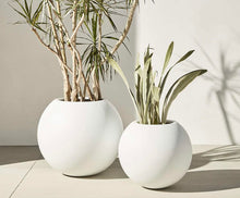 Load image into Gallery viewer, Two white spherical planters placed indoors, one containing a tall plant with multiple thin branches, and the other holding a plant with large, pointed leaves. Both planters cast soft shadows on the floor and wall.