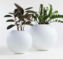 Load image into Gallery viewer, Two white spherical planters placed indoors, one containing a tall plant with multiple thin branches, and the other holding a plant with large, pointed leaves. Both planters cast soft shadows on the floor and wall.