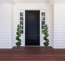 Charger l'image dans la galerie, Pair of spiral topiary plants framing a stylish black front door, adding a welcoming and elegant touch to a modern white home entrance