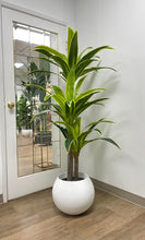 Charger l'image dans la galerie, Artificial Dracaena plant with bold green leaves and yellow accents in a modern white round planter. This realistic faux plant is ideal for contemporary home or office decor, adding a touch of greenery and sophistication