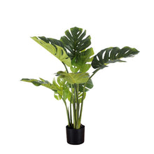 Charger l'image dans la galerie, Monstera Potted Plant ( Shine) (4') - WAYSAVING