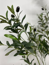 Charger l'image dans la galerie, Close-up view of the artificial olive tree's leaves and small dark olives, showing the detailed texture and realistic design of the foliage against a neutral background.