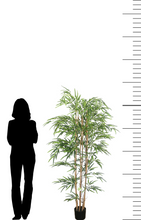 Charger l'image dans la galerie, 6ft artificial bamboo palm plant in a black pot, shown with a silhouette for scale, ideal for adding height and greenery to indoor spaces