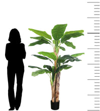 Load image into Gallery viewer, 6ft artificial banana tree in a black pot, shown with a silhouette for scale, ideal for adding a tropical accent to indoor spaces with its large, realistic leaves