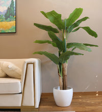 Load image into Gallery viewer, 6ft artificial banana leaf plant in a white pot, positioned beside a modern white sofa, perfect for adding a tropical touch to indoor decor