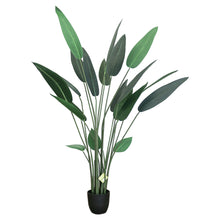 Load image into Gallery viewer, Artificial bird of paradise plant with tall, slender green stems and elongated dark green leaves, displayed in a simple black planter against a white background.