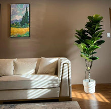 Load image into Gallery viewer, A stylish living room setup featuring a beige couch with a modern design, accompanied by a tall, lush fiddle-leaf fig tree in a white pot, positioned next to the couch. The room is warmly lit, with natural light casting soft shadows, enhancing the cozy ambiance. A colorful painting hangs above the couch, adding a touch of artistic flair to the space.