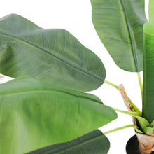 Load image into Gallery viewer, Close-up of large artificial banana leaves with realistic texture, highlighting the natural appearance of the plant, ideal for tropical-themed indoor decor.