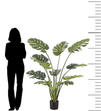 Load image into Gallery viewer, Artificial monstera plant measuring approximately 5 feet tall, displayed in a black pot. The image features a silhouette of a person for scale, highlighting the size of the plant. The monstera has large, split leaves with a natural green color, perfect for adding a tropical touch to indoor spaces