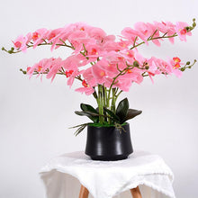 Load image into Gallery viewer, Elegant arrangement of artificial pink orchids in a sleek black pot. The vibrant pink flowers cascade gracefully, complemented by lush green leaves, making it a perfect decorative piece for adding a pop of color to any space.