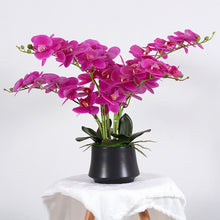 Load image into Gallery viewer, Elegant arrangement of artificial purple orchids in a sleek black pot. The purple flowers cascade gracefully, complemented by lush green leaves, making it a perfect decorative piece for adding a pop of color to any space