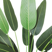 Load image into Gallery viewer, Detailed view of large green leaves from an artificial plant, showing the texture and vein patterns on the leaves