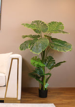 Charger l'image dans la galerie, Artificial monstera plant in a black pot placed beside a modern beige sofa in a stylish living room. The lush green foliage adds a vibrant touch to the neutral-colored space, complemented by a colorful wall painting above the sofa, creating a cozy and inviting atmosphere.
