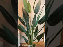 Load and play video in Gallery viewer, Artificial Bird of Paradise - 7' (210cm)