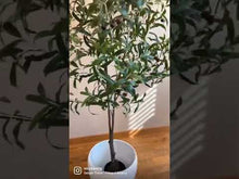 Load and play video in Gallery viewer, Artificial Olive Tree - 5ft
