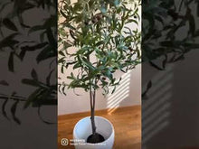 Load and play video in Gallery viewer, Artificial Olive Tree - 5ft