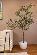Charger l'image dans la galerie, Artificial olive tree with slender branches and lifelike green leaves, adorned with small black olives, placed in a white ceramic pot beside a beige sofa with gold accents. The tree is set against a light brown wall, creating a warm and inviting interior scene
