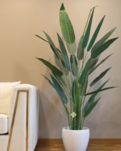 Load image into Gallery viewer, A 6-foot artificial bird of paradise plant positioned next to a modern white sofa. The plant is set in a sleek white pot and features tall, slender green stems with elongated, lifelike leaves. The setting highlights the plant's realistic texture and elegant design, perfect for adding a touch of greenery to a contemporary living space