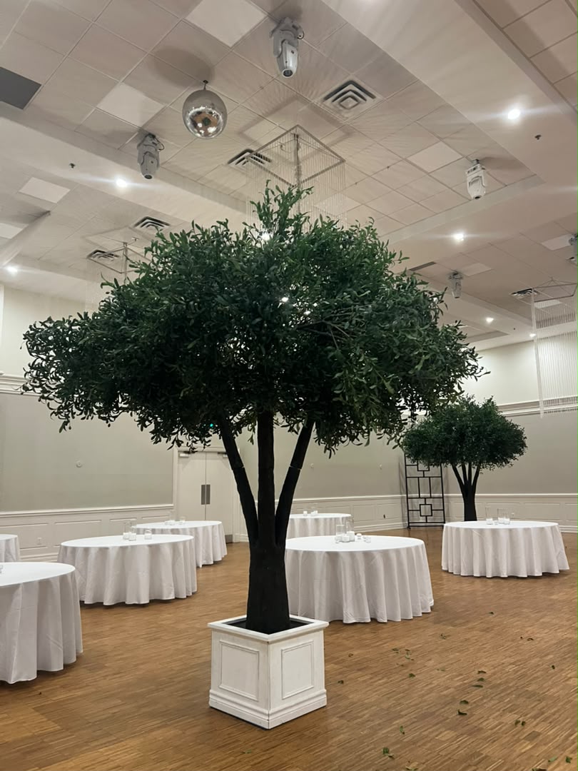 12-ft Artificial Olive Tree | Available for Rent or Purchase
