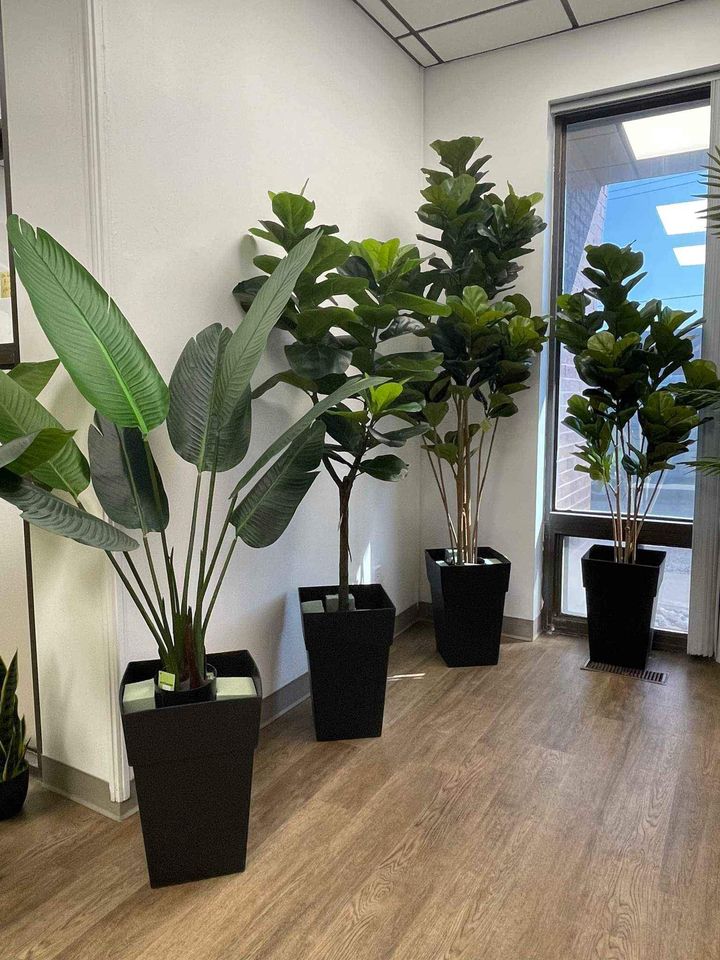 Choosing Between Plastic and Fabric Plants for Your Home Decor