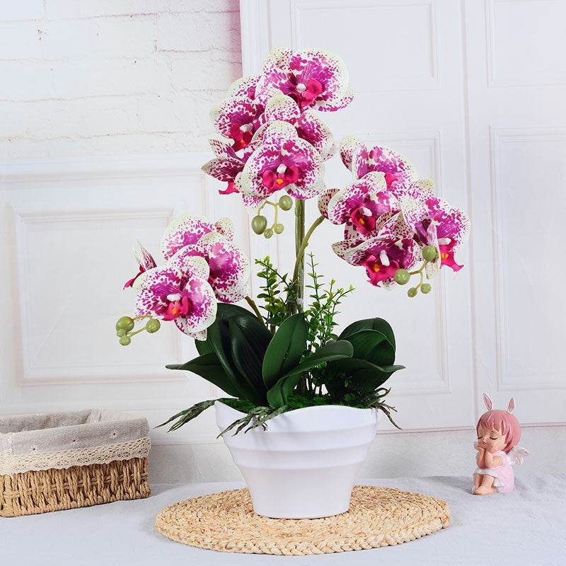 Orchid Arrangements: A Touch of Luxury for Your Home or Office
