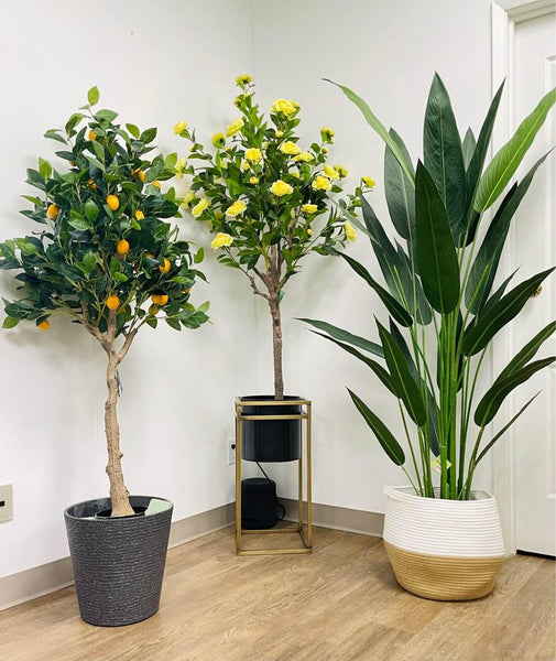 The Ultimate Guide to Using Faux Plants in Home Decor