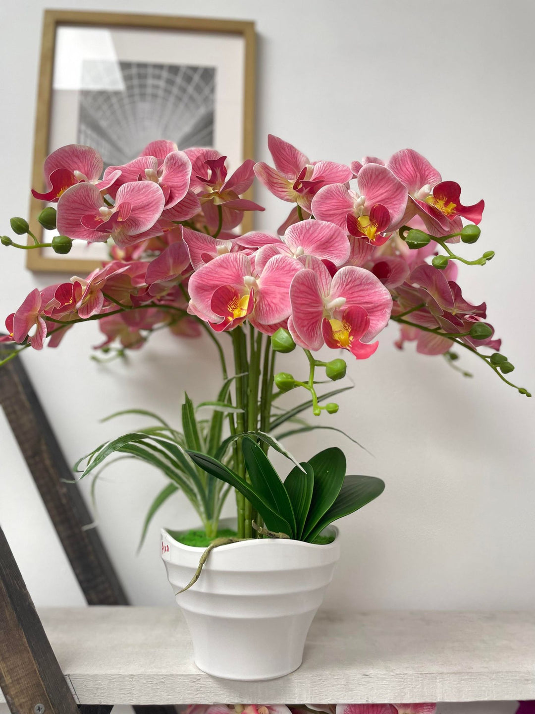 Seasonal Orchid Decor: Fresh Ideas for Every Time of Year