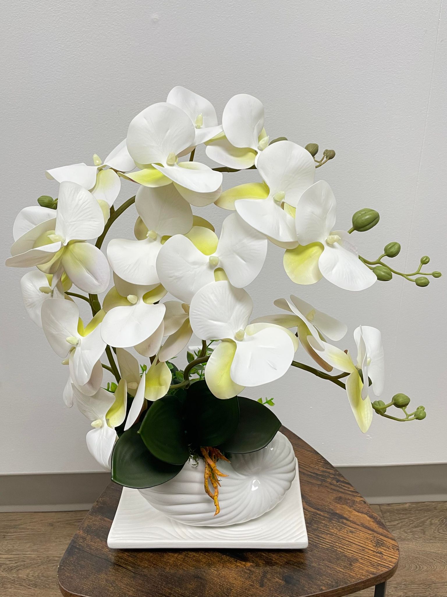 White Orchids: Timeless Elegance for Every Space
