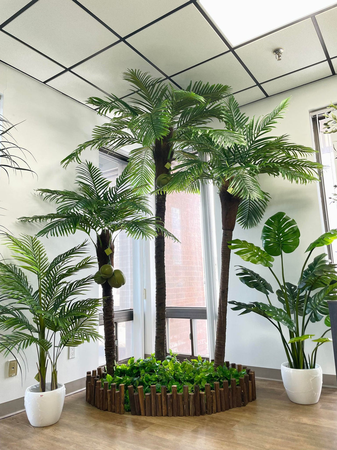 Artificial Palm Trees for Rent & Purchase | Bring Tropical Elegance to Any Space
